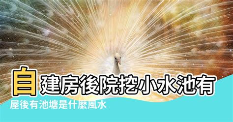 屋後有水池|【屋後有水池風水】屋後有水池風水？專家解密「後方水池」影。